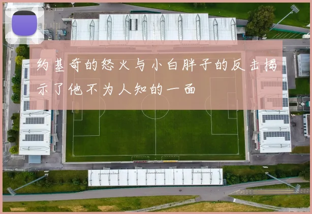 约基奇的怒火与小白胖子的反击揭示了他不为人知的一面