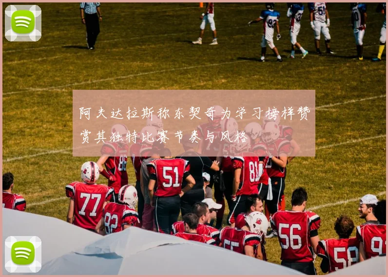 阿夫达拉斯称东契奇为学习榜样赞赏其独特比赛节奏与风格